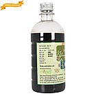 Самшині Коватха (Samshoshini Kwath, Nupal Remedies), 450 мл — для нормалізації кишкової мікрофлори, фото 3