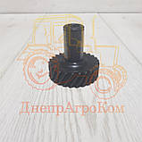 Шестірня ЮМЗ привода маслонасоса гідросистеми | Z = 26 | Д65-1022041, фото 5