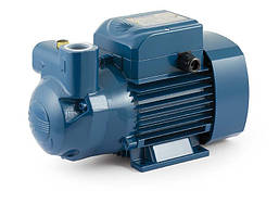 Самоовсмоктувальний рідкостоно-кільцевий електронасос Pedrollo модель CKm80-E (однофазний)