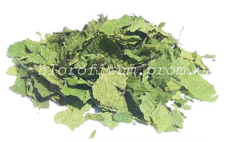 Береза повисле листя 50 грамів (Лист берези), фото 1