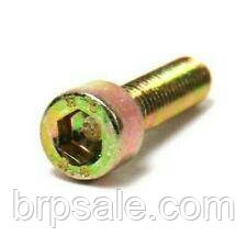 Гвинт з циліндричною голівкою M6 X 30 Ski-Doo Sea-Doo Can-Am BRP Screw socket 912