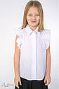 Блуза шкільна з оборками на рукавах Albero 5089-B Розміри 122 - 158, фото 3