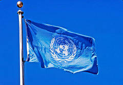 Прапори міжнародних організацій