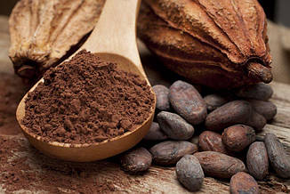 Какао-порошок темный алкализированный 10-12%, Cargill, 50 г