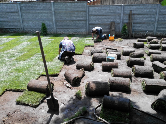 Газон рулонный Харьков