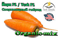 Сверхмощный гибрид моркови Йорк F1 / York F1 от ТМ Lark Seeds (США) , 25 000 семян, фракция 1,8-2,0 мм