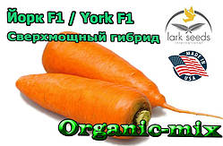 Надпотужний гібрид моркви Йорк F1/ York F1 від ТМ Lark Seeds (США), 25 000 насіння, фракція 1,8-2,0 мм