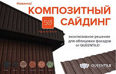 QueenTile C -10 - Композитний лист профнастилу, довжина 2 метри, фото 2