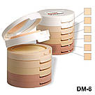 DM-6 Пудра-коректор на основі рисової 6 color in1 set (уп-3), фото 2