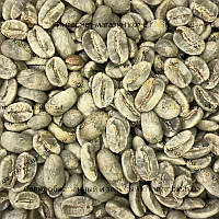 Арабіка Гондурас Марагоджип (Arabica Honduras Maragogype) 500г. ЗЕЛЕНИЙ кава