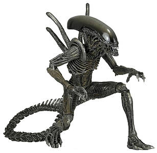 Фігурка NECA ALIEN AvP (Alien vs. Predator. Чужий проти Хижака). Warrior Alien