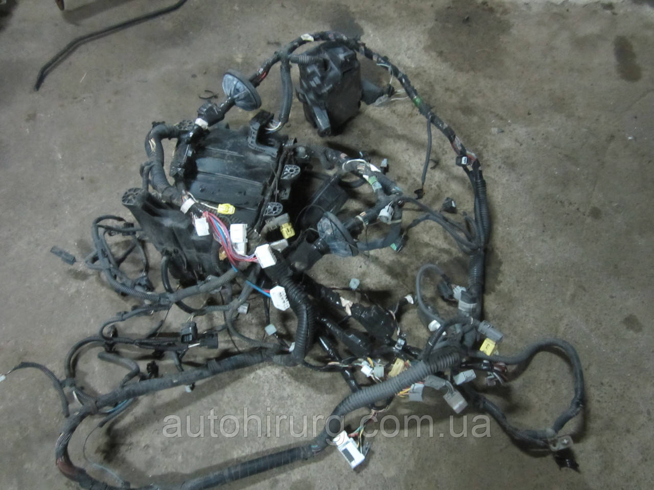 Підкапотна проводка Toyota Sequoia