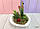 Сукуленти Cactus композиція кактуса прикраси для дому, фото 3