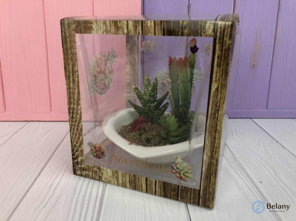 Сукуленти Cactus композиція кактуса прикраси для дому