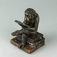 Статуэтка Veronese Обезьяна на книгах 17 см 76560A4 веронезе обезьянка обезьяна Дарвина