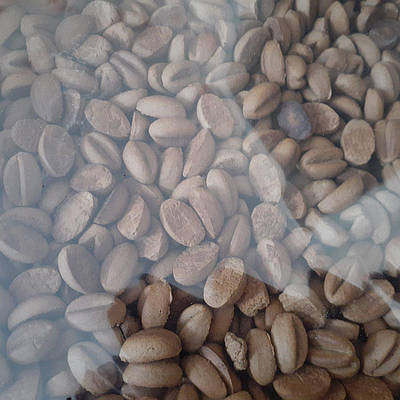 Печиво кавове зерно 500 грамів