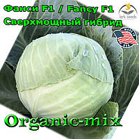 Надпотужний гібрид середньоспильної капусти Фансі F1 / Fancy F1, 2500 насіння, Lark seeds (США)