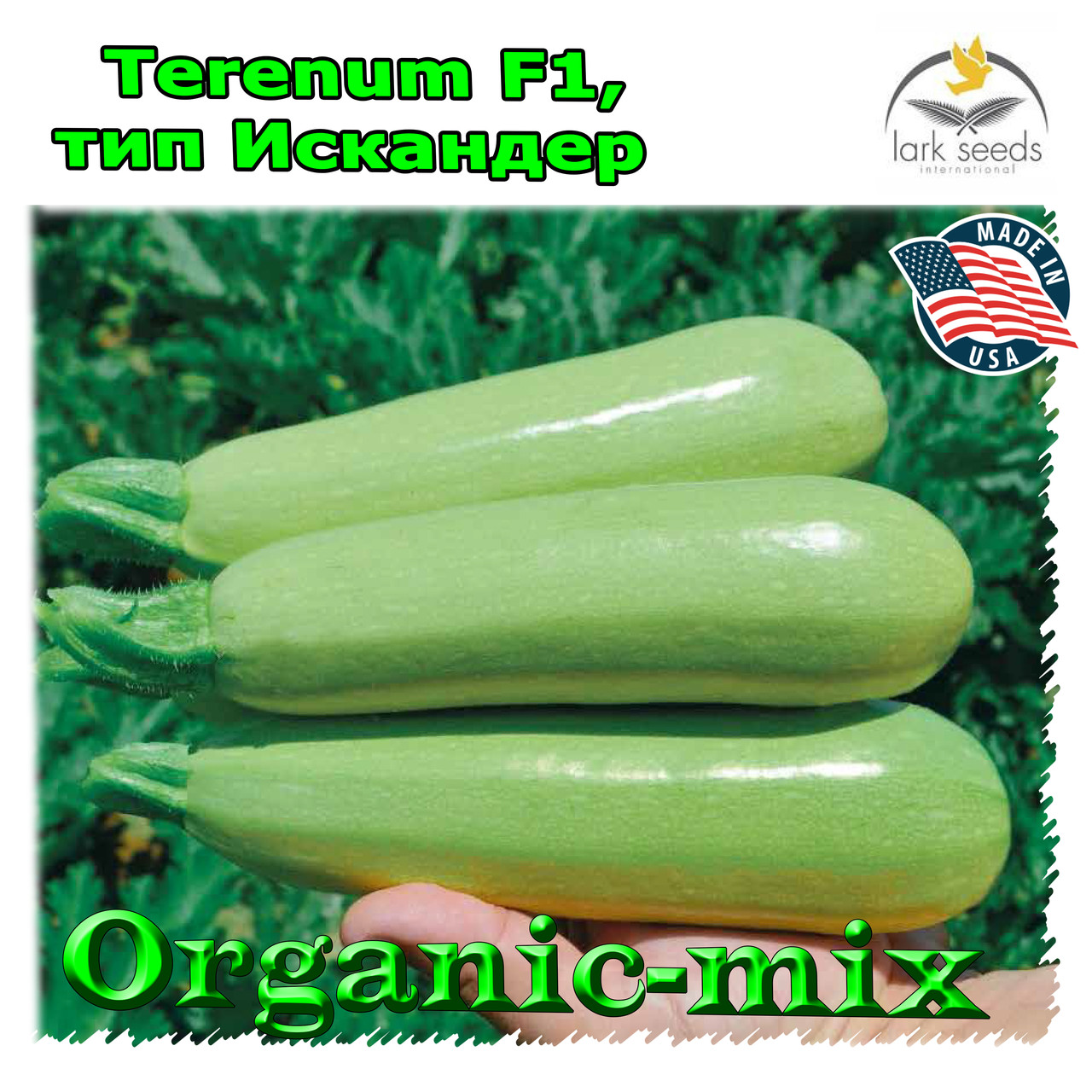 Насіння кабачка Теренум F1/Terenum F1, тип Іскандер, ТМ Spark Seeds (США), проф. пакет 500 насіння