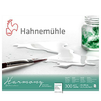 ' Альбом для акварели Harmony А4, 300 г/м, 12 листов, HP гладкая, целлюлоза 100% Hahnemuhle, 10628760
