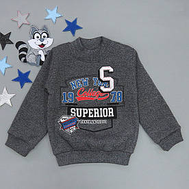 Теплий світшот для хлопчика. 110, 116 см