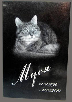 Памятник табличка для кота на могилу із граніту 300*200