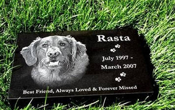 Памятник табличка для улюбленої собаки на могилу 300*200
