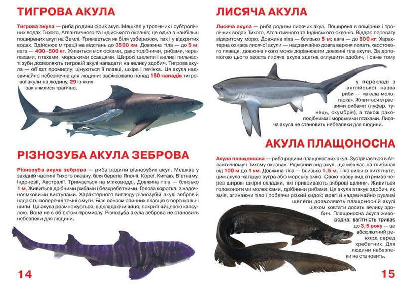 Енциклопедія Велика книжка. Акули. Світ навколо нас, фото 3