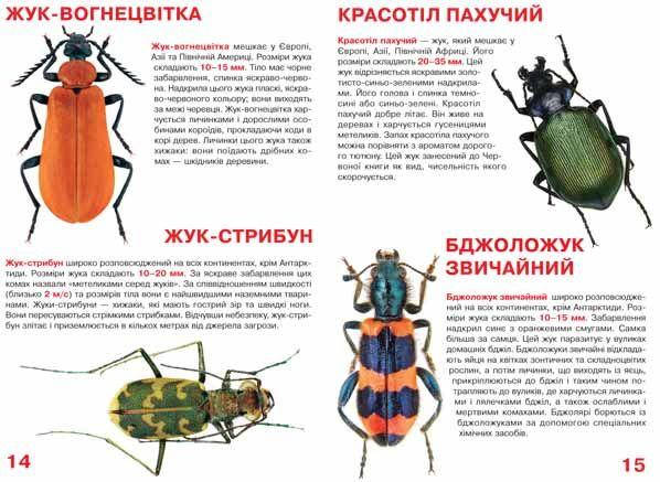 Енциклопедія Велика книжка. Жуки. Світ навколо нас, фото 3