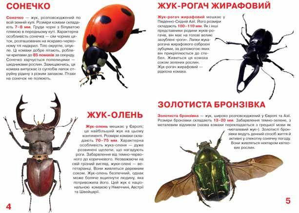 Енциклопедія Велика книжка. Жуки. Світ навколо нас, фото 4
