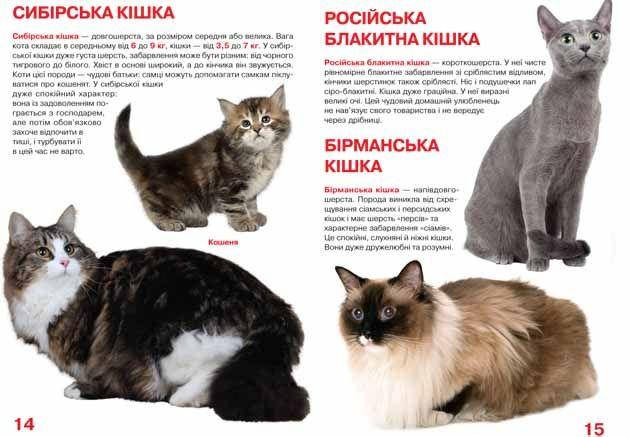 Енциклопедія для допитливих "Світ навколо нас. Велика книжка. Кішки" | Кристал Бук, фото 3