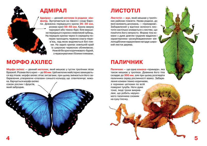 Енциклопедія Велика книжка. Комахи. Світ навколо нас, фото 4