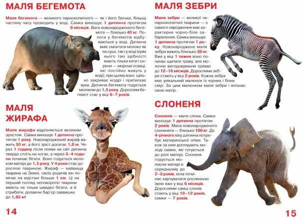 Енциклопедія Велика книжка. Малята тварин. Світ навколо нас, фото 3