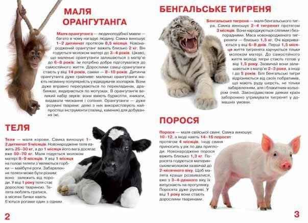 Енциклопедія Велика книжка. Малята тварин. Світ навколо нас, фото 4