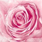 Серветки 33х33 бутон троянди Марго 20шт