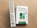 DiabeNot - капсули від діабету (ДиабеНот), фото 6