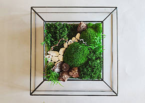 Картина Зі Стабілізованим мохом у Скляній Рамці
