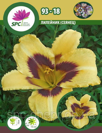 Лійник сінець 93-18