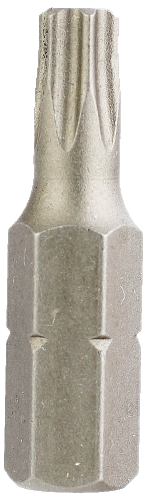 Насадка (біта) зірковий TORX T-25 50мм (10 шт/уп)