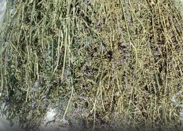 500г, Рутка / Дика рутка / Димянка (трава), 500г., фото 1