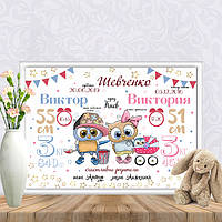 Метрика "Дві совушки"