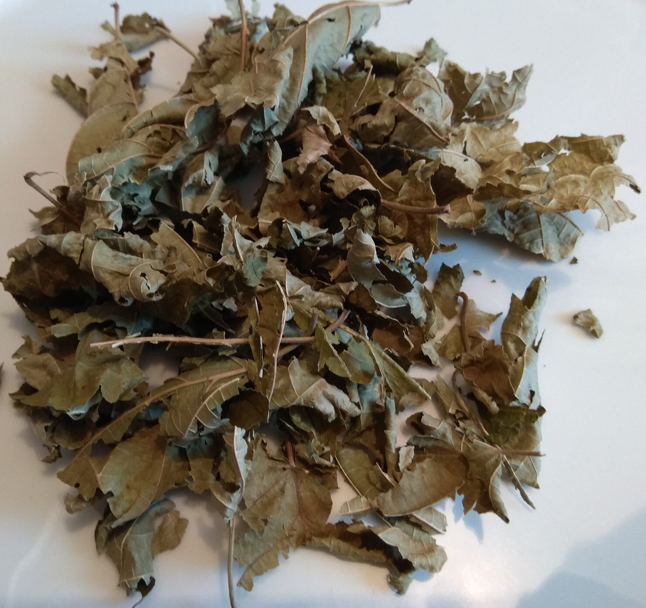 Ліщина (лист), 500г., фото 1