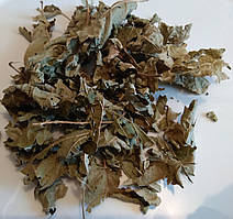 Ліщина (лист), 500г.