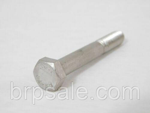 Болт з шестигранною головкою M8 X 60 Sea-Doo BRP SCREW-HEX.CAP DIN.931A2, фото 1