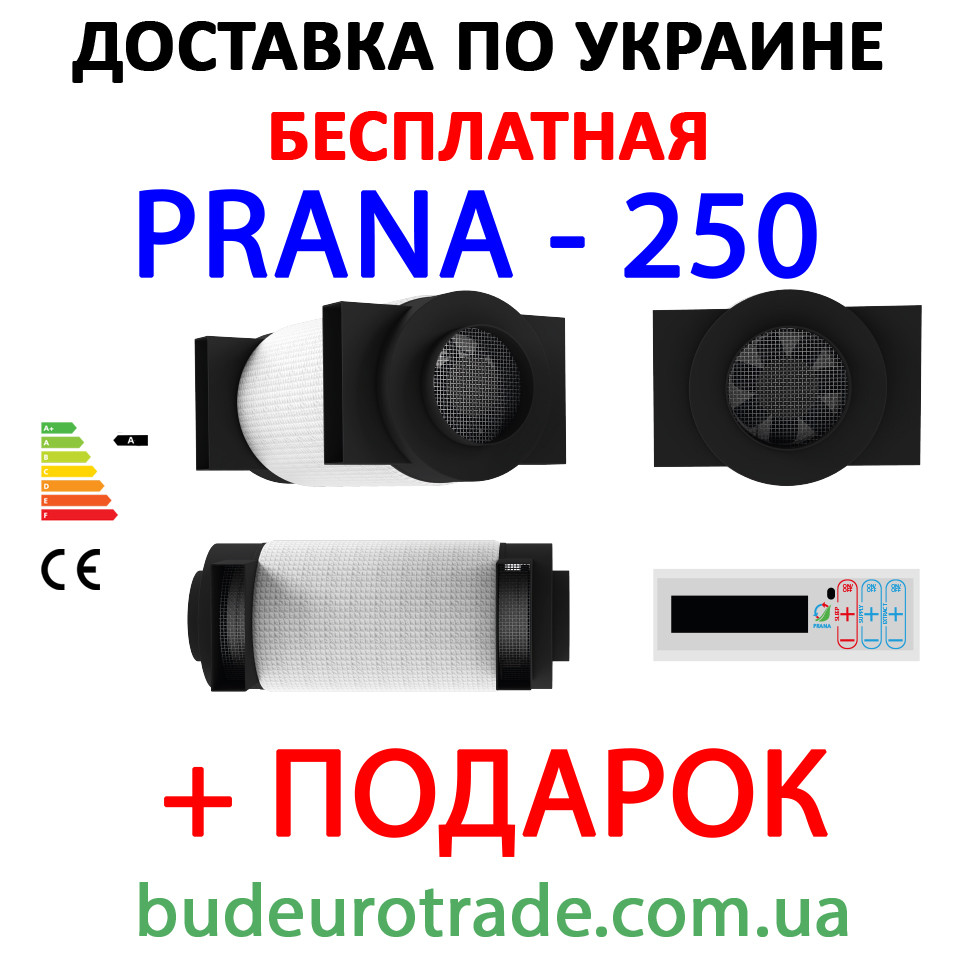 РЕКУПЕРАТОР ПРАНА 250 - фото 1 - id-p678716141