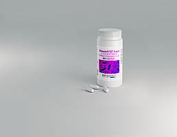 БактоVIT Lact  з бетаїном No60, пробіотик і гепатопортектор