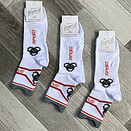 Чоловічі демісезонні шкарпетки бавовна Elegant з лайкрою, розмір 40-46, білі, 063, фото 2