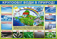 НП Плакат (школа) "Світ Поздоровлень А2"/Кругообіг води в природі