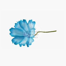 Квіти з мастики — космея блакитного