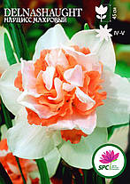 Нарцис махровий Delnashaught, фото 5