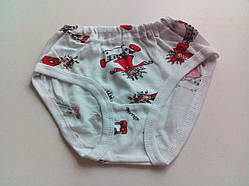 Трусики для дівчаток, модель 250101100, зріст 122-128, розмір 68/труси труси труси/ДІВЧИНКИ